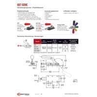 PDF-Vorschau von 607 Series Straight Line Action (Plunger) Clamps - Catalog Pages - DE