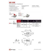 PDF-Vorschau von Straight Line Action (Plunger) Clamps - Manual Clamps - Catalog Section - DE